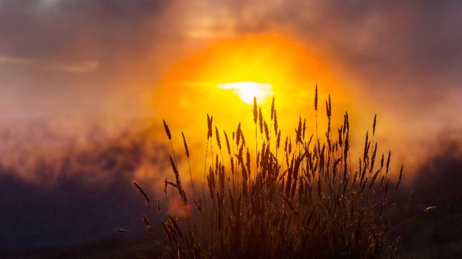 Come celebrare la Giornata di preghiera per il Creato