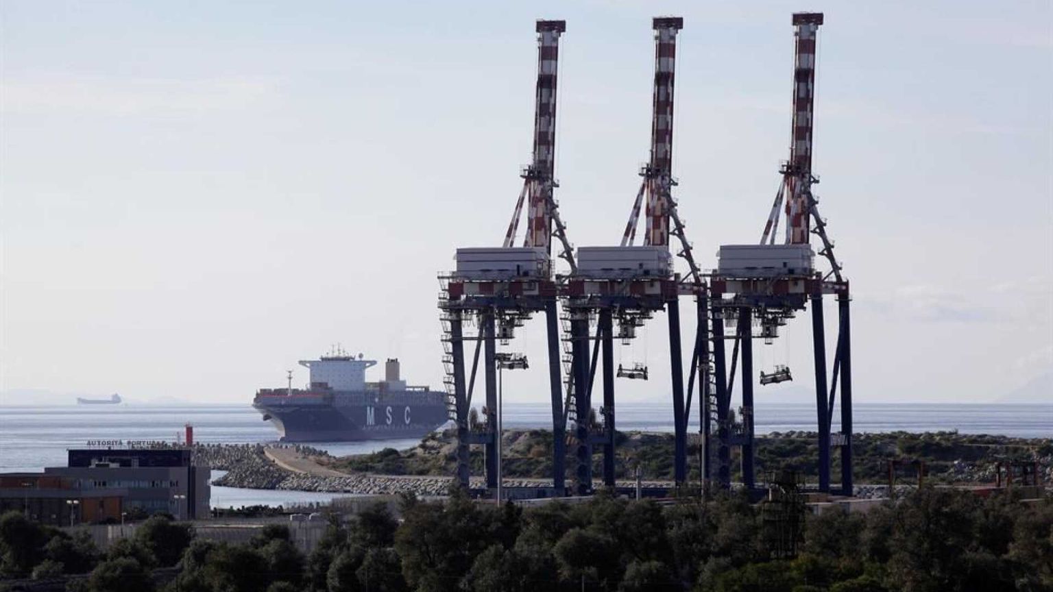 Ecco le azioni strategiche per aumentare la competitività