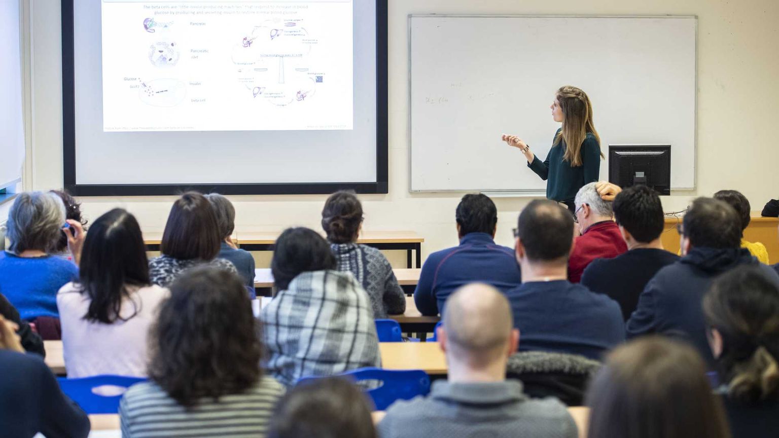 La riforma Bernini divide il mondo accademico: quali sono i dubbi dei docenti