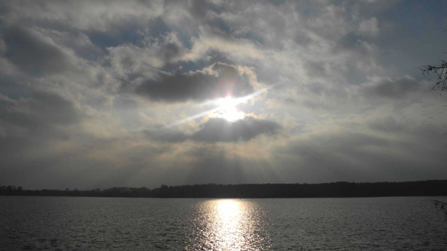 Il suicidio assistito e le Regioni in fuga: non smarrire l'umanità