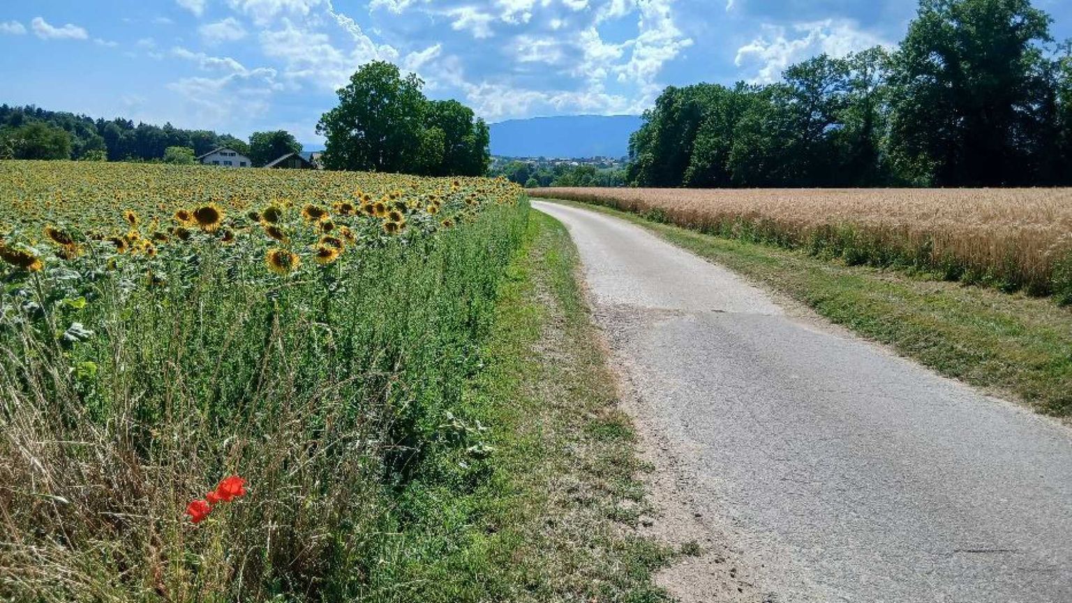 Lungo la frontiera dei pellegrini i veri monumenti sono le persone