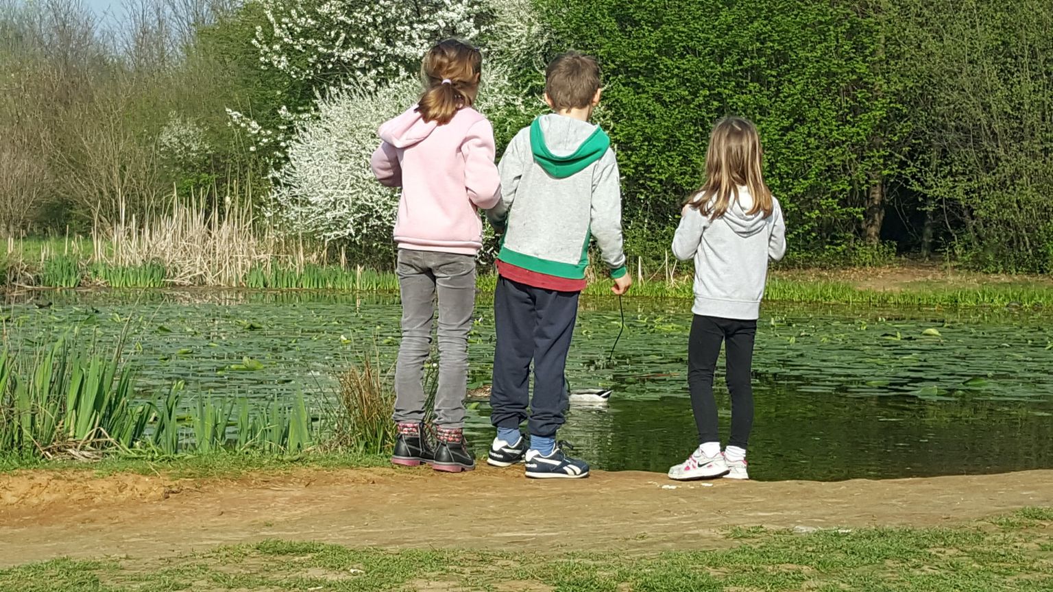 Sarebbe bellissimo e giusto se la famiglia restasse al centro della scena