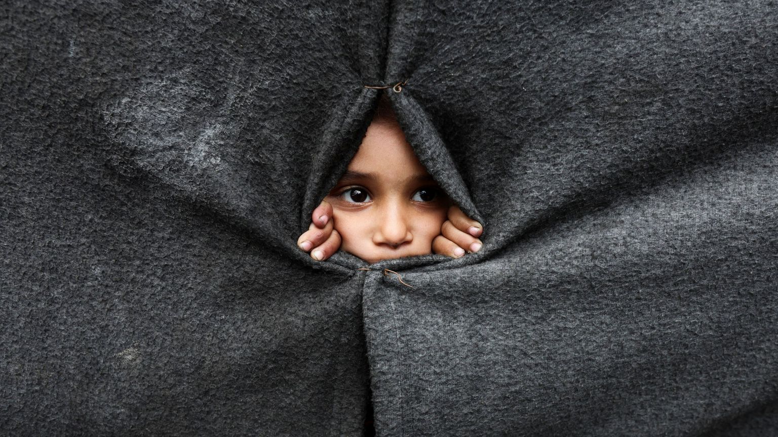 «Santi anche in politica, difendendo la vita»