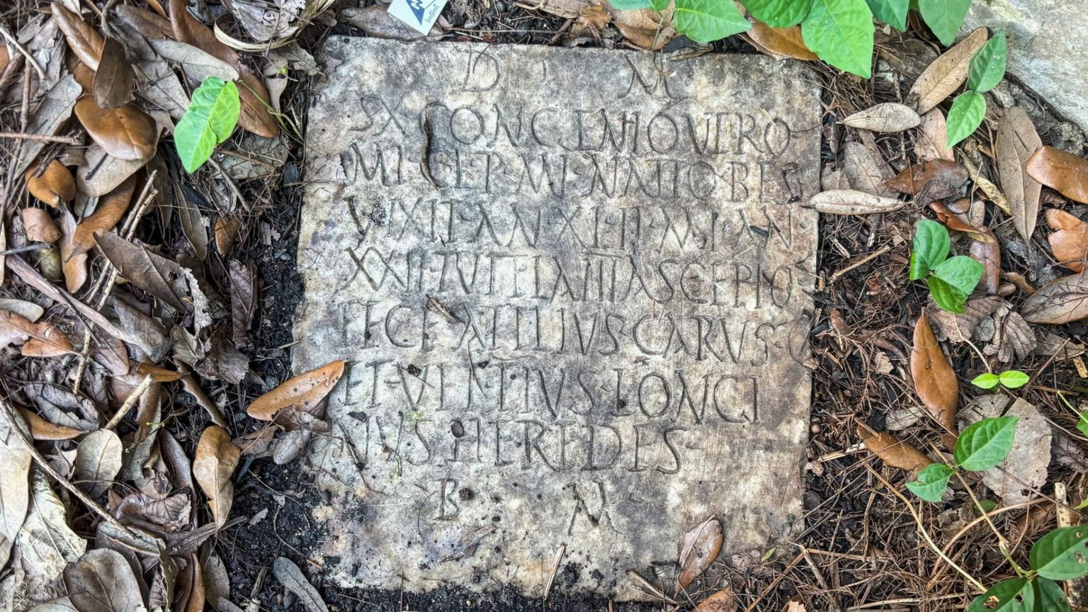 Ritrovata una lapide romana in un giardino a New Orleans (e racconta una storia d'amore)