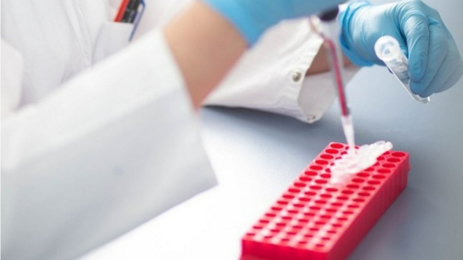 Medicina rigenerativa, Italia e Giappone alleate per le staminali del futuro