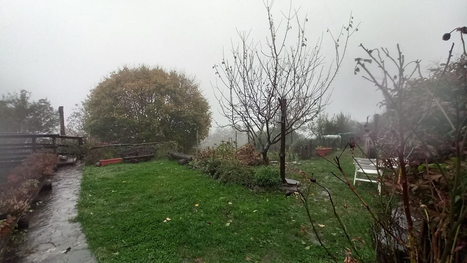 L'arte di sopravvivere, con un minimo di grazia