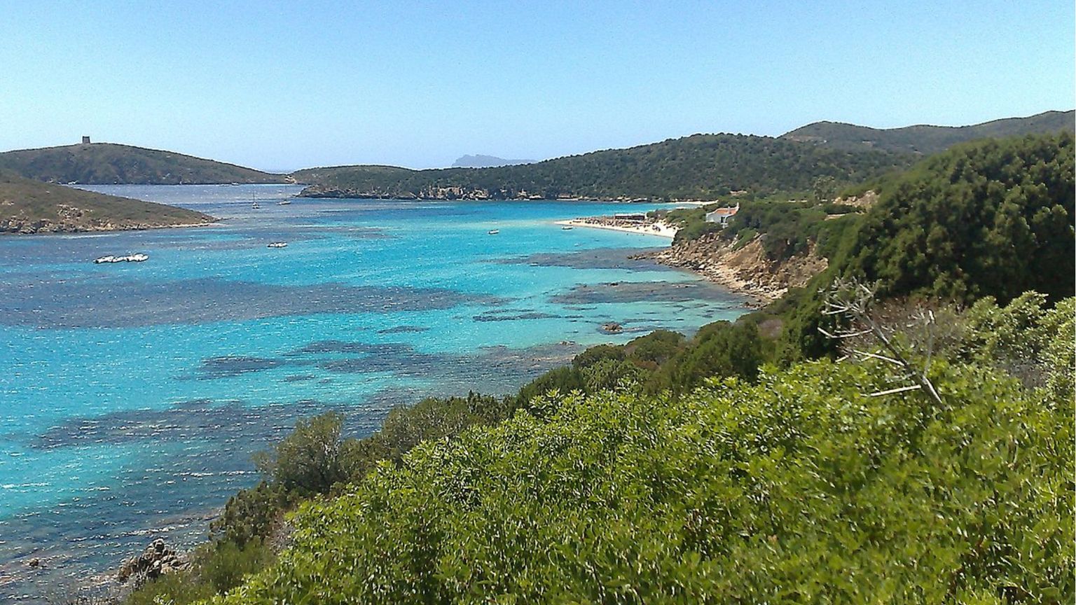 Sardegna, la spiaggia di Tuerredda e il coraggio di un pastore