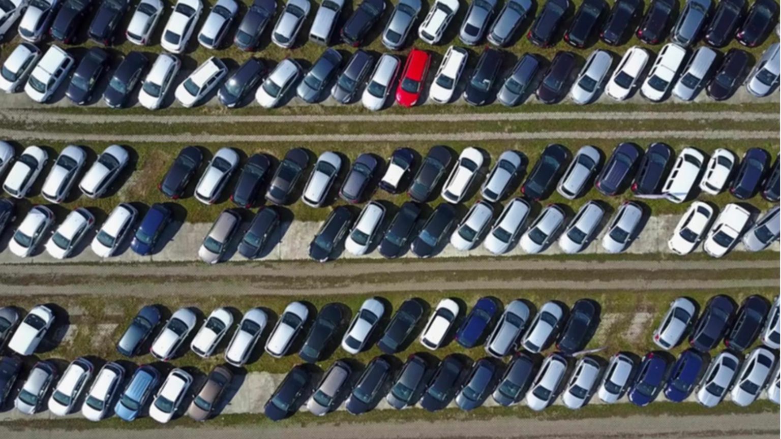 Automobili parcheggiate di una flotta di noleggio a lungo termine