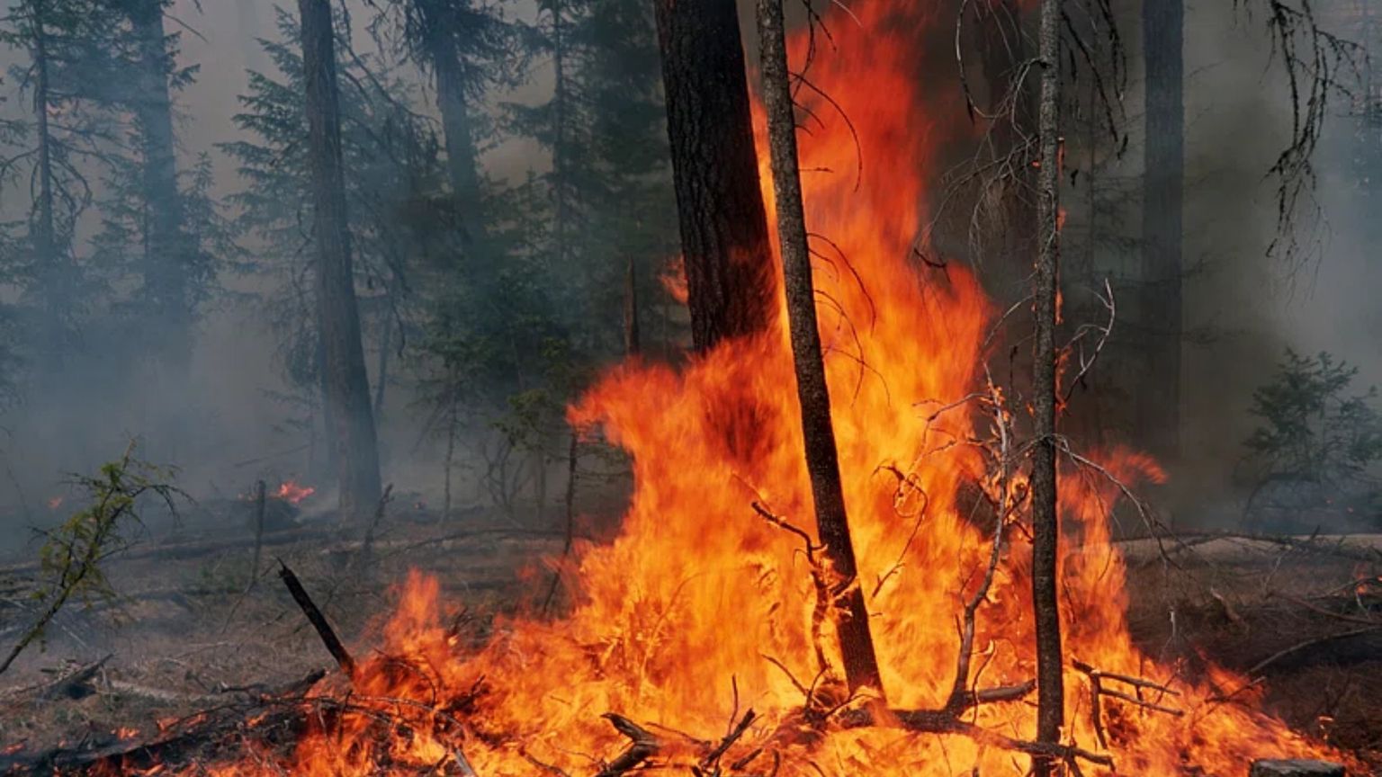Cambiamento climatico, avanti in ordine sparso. E l'inazione pesa