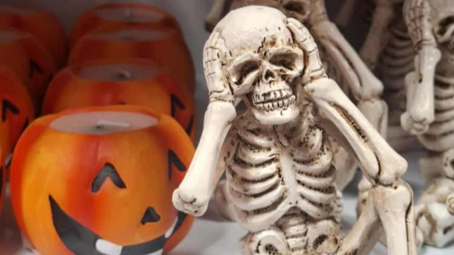 Torna “Sofia”, la newsletter per tutta la famiglia