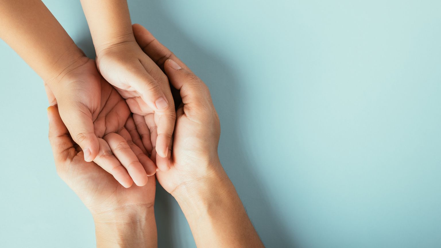 È aperta da ieri al Museo della Storia naturale di Milano la mostra sull'affido