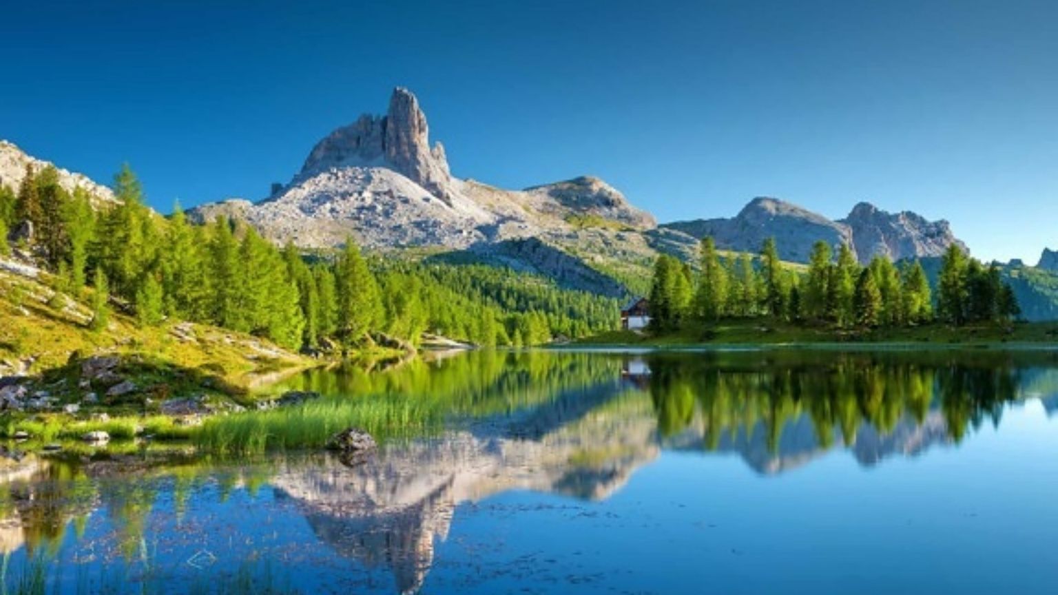 E se il «genio» della natura si salvasse con la tecnologia?