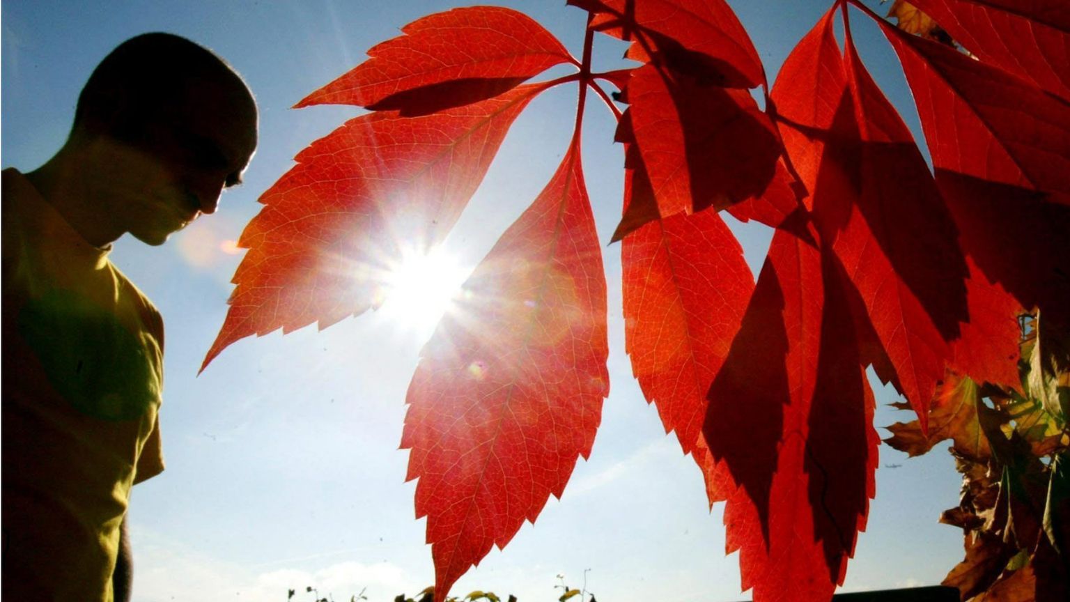 Una tristezza da volersi suicidare. Sicuri che non ci riguarda?