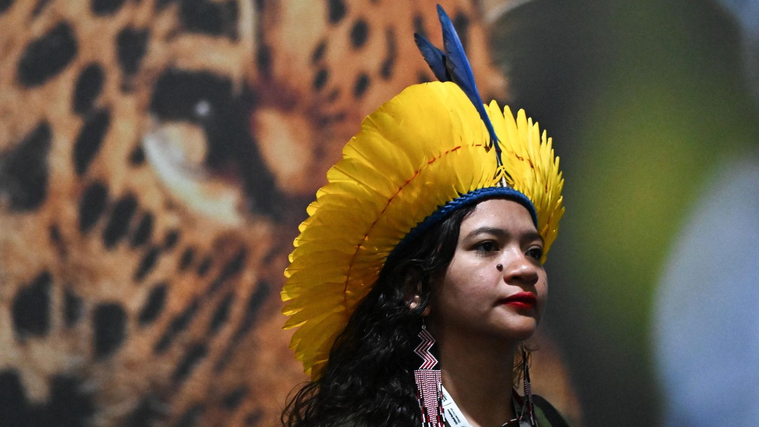 La Cop30 approva l'accordo (al ribasso) sul clima