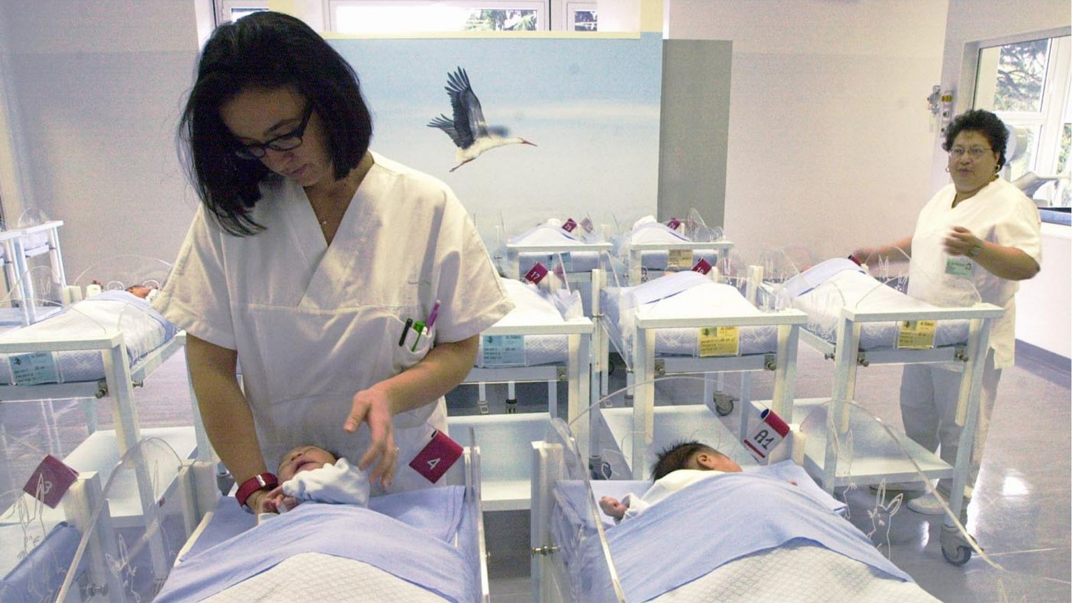 A Legnago sono nati 10 bambini in 26 ore