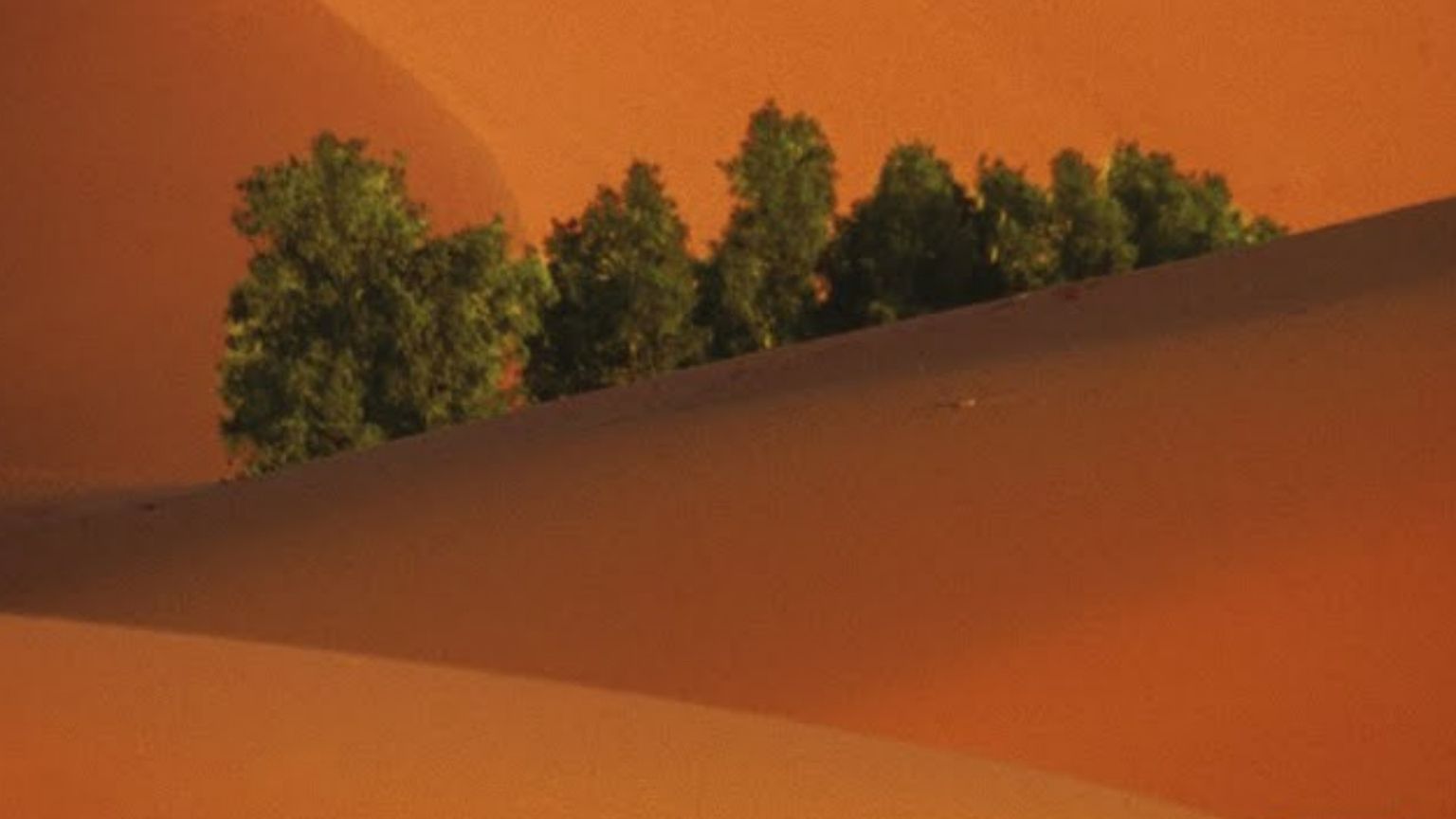 Santa Maria Maggiore con Scarlatti è Betlemme