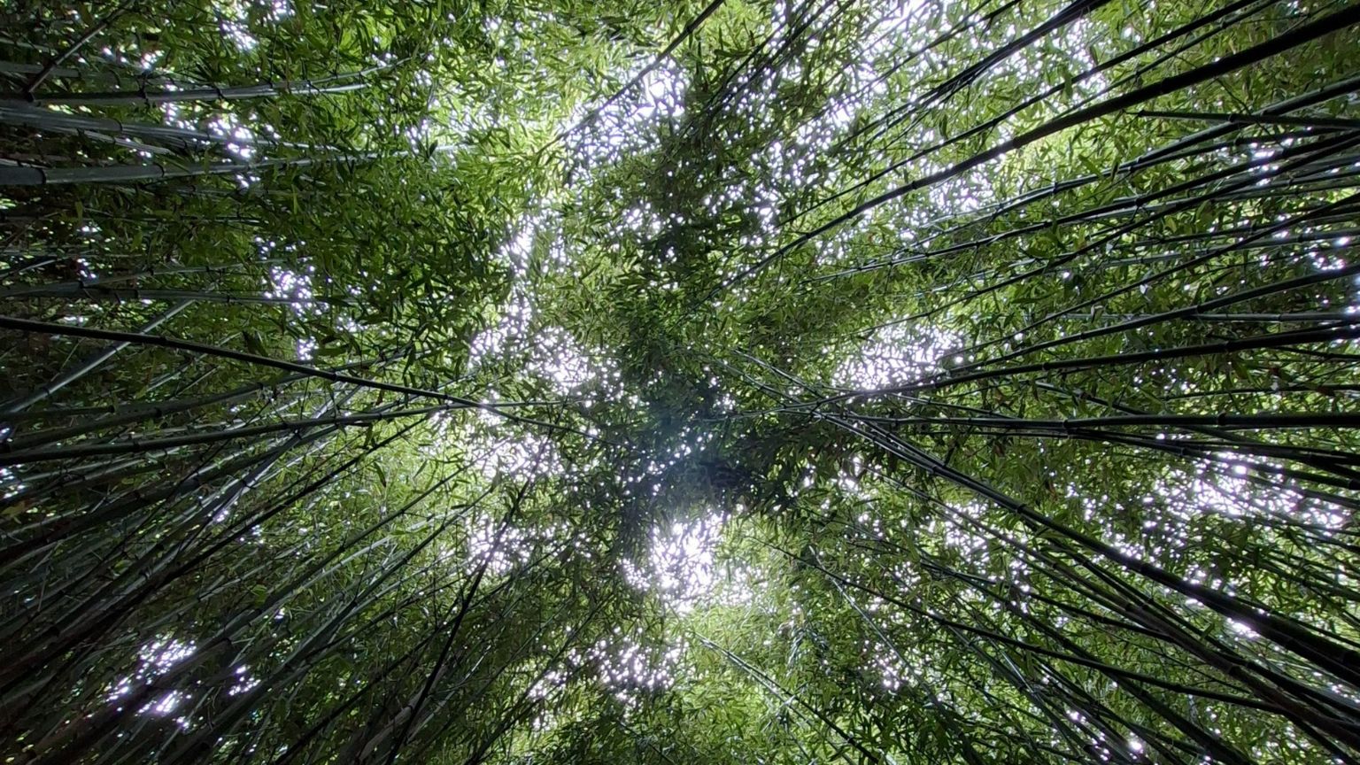 Fondazioni, più competenze per un impatto migliore