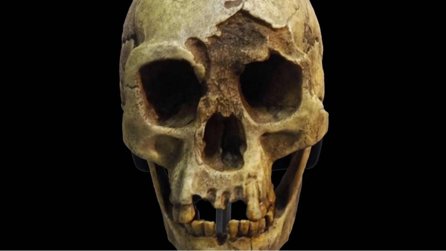 Così si estinsero gli hobbit: la triste storia dell'Homo floresiensis