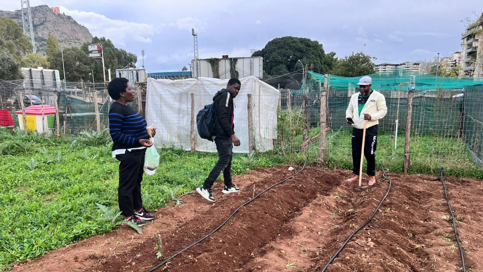 Gli orti di Palermo
affidati ai migranti:
anche così
si fa integrazione
