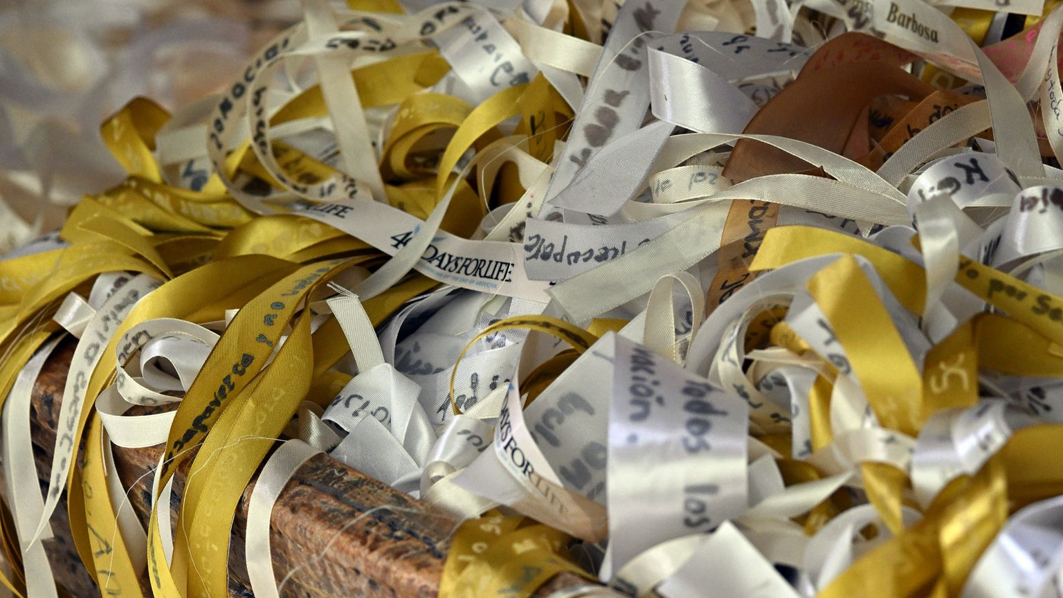 Presepe “dei nastri” in Vaticano, il Movimento per la Vita: «C’è la dignità infinita di ogni neonato»