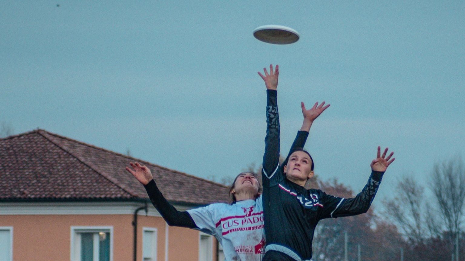 Elogio del frisbee, la tortiera divenuta sport. Senza arbitri