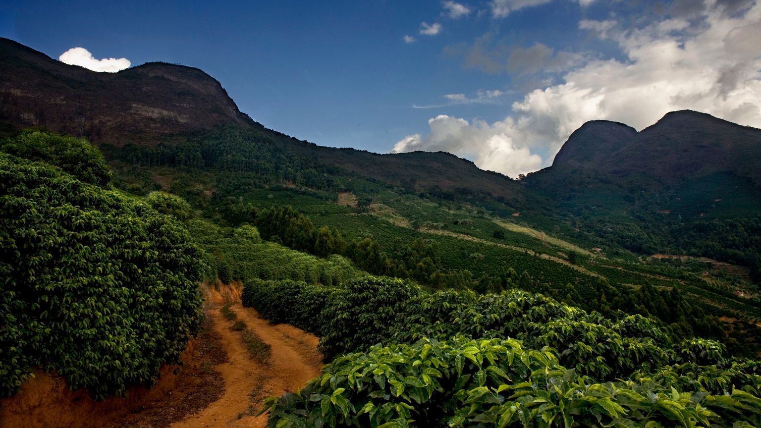 Dall'estrazione alla rigenerazione: così le imprese aiutano il pianeta