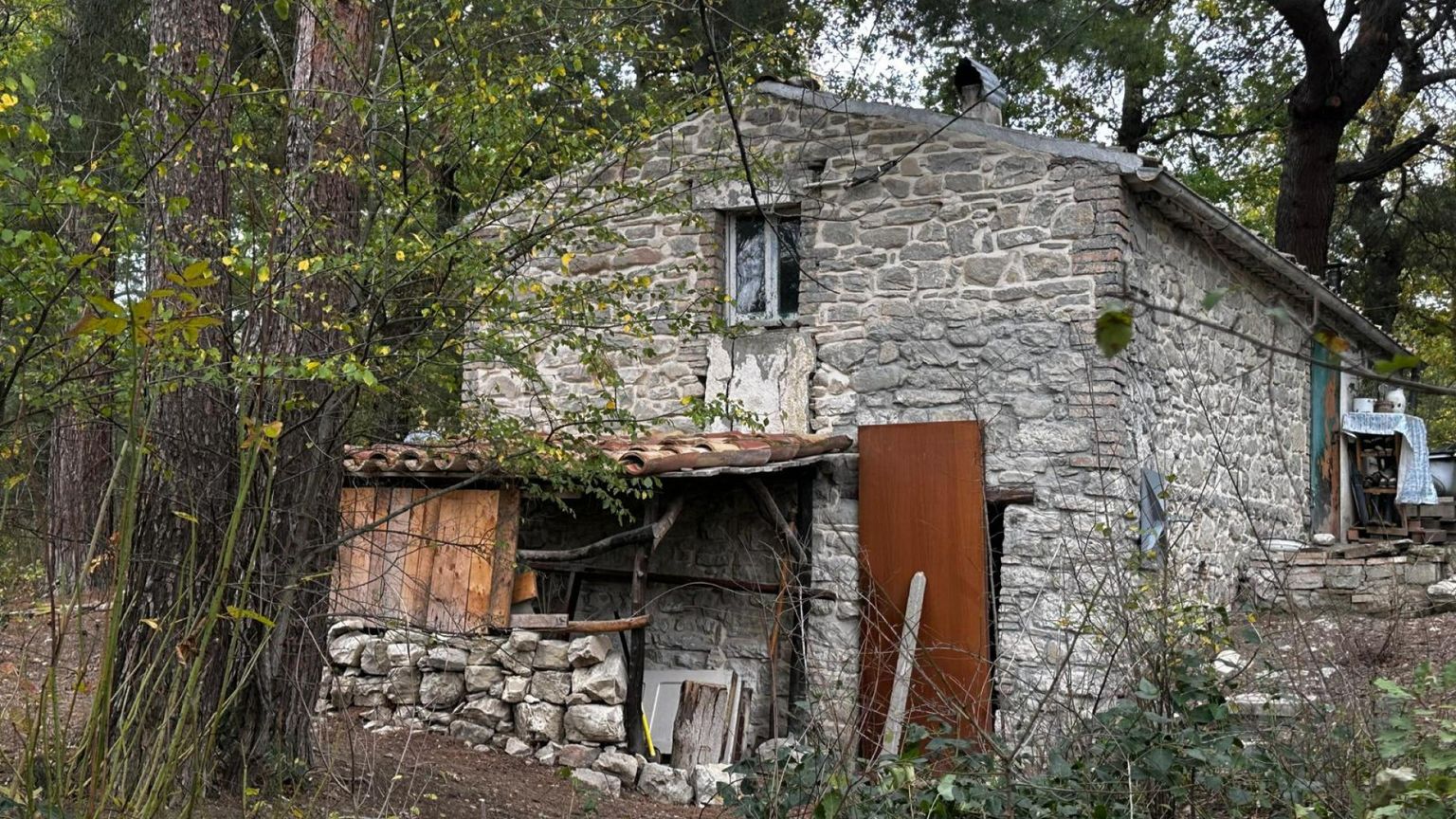 I tre bambini della famiglia nel bosco resteranno in comunità