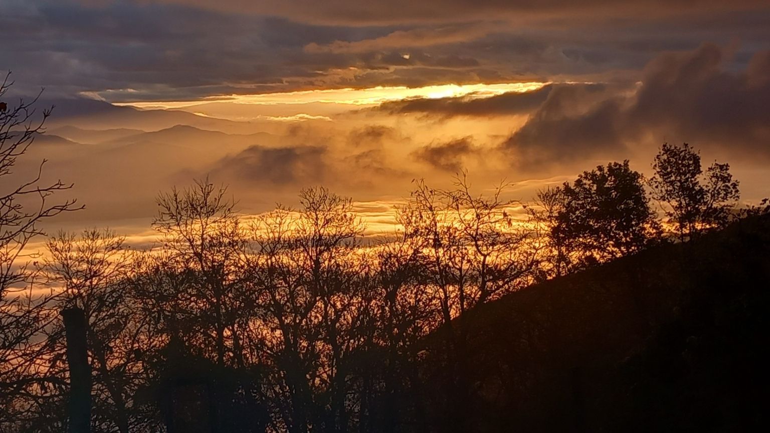 Il nostro Dio, che trasfigura il dolore in urlo di vita