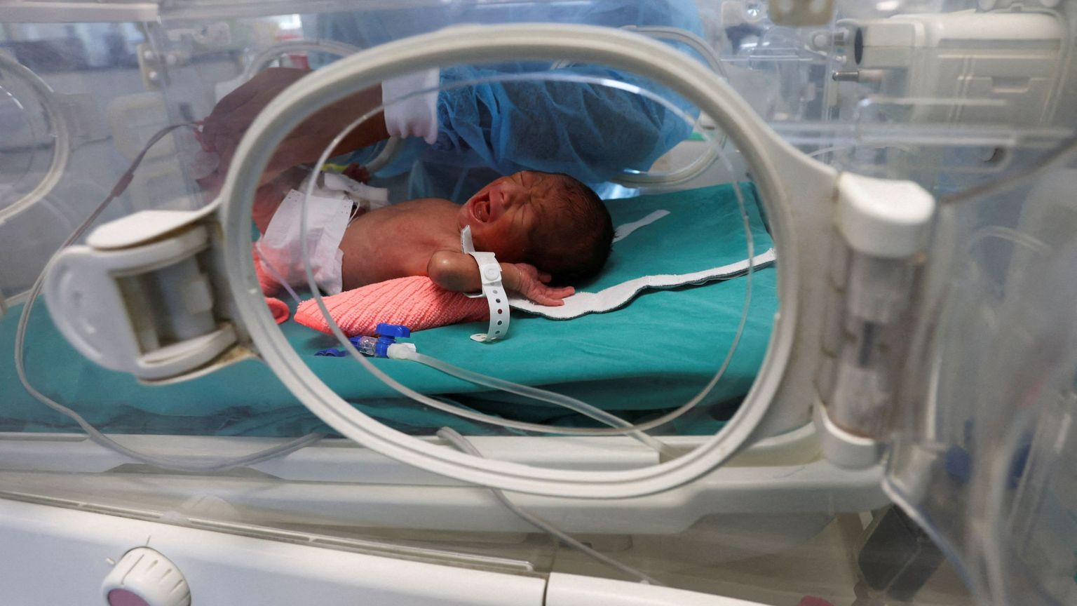 In ogni vita la rivoluzione del “nuovo”