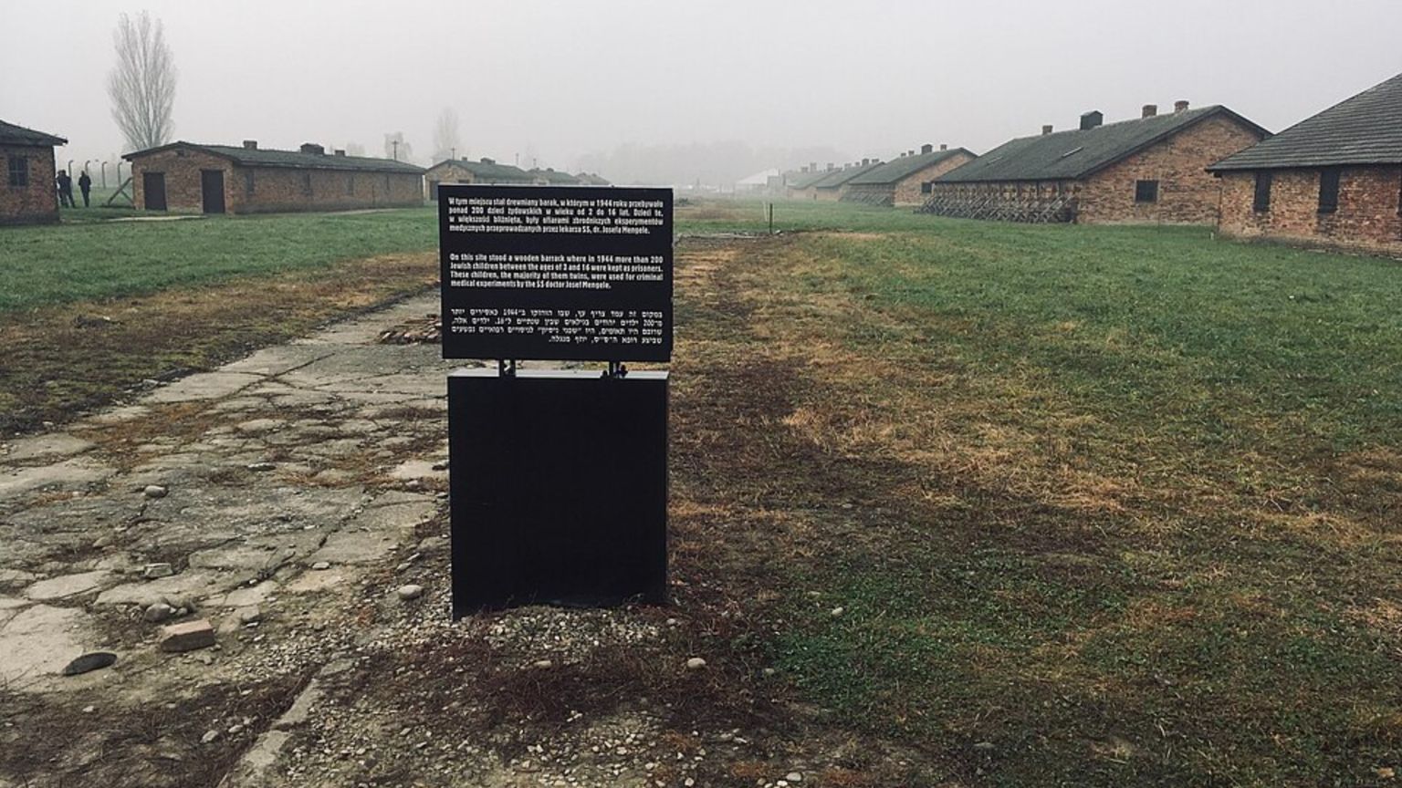 Auschwitz e l'umanità negata di Josef Mengele