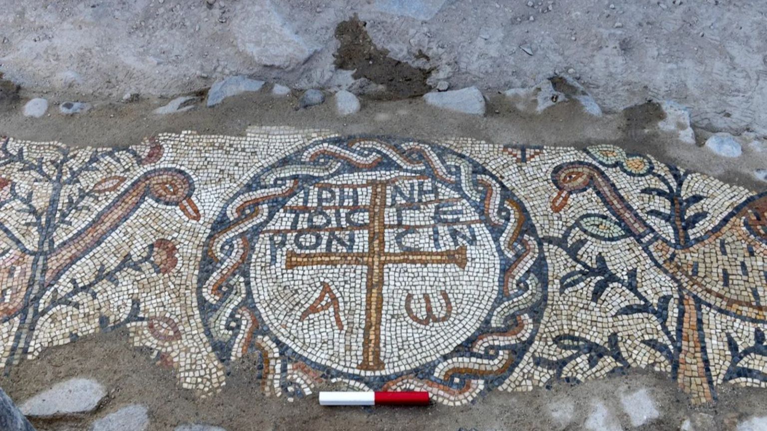 "Pace agli anziani": trovata la prima RSA della storia