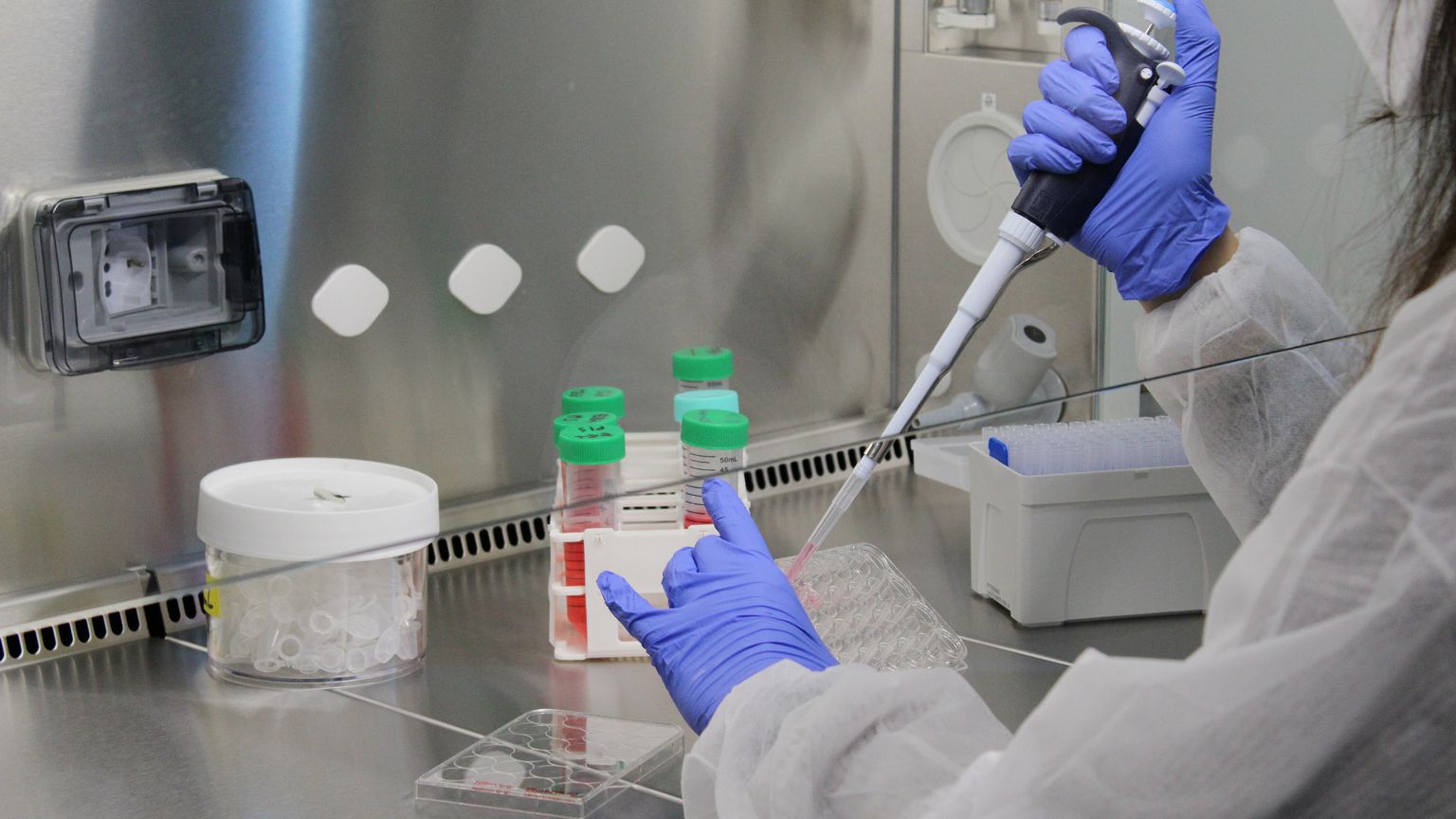 «Congelate gli ovuli»: la proposta choc di un'azienda diventa un benefit aziendale