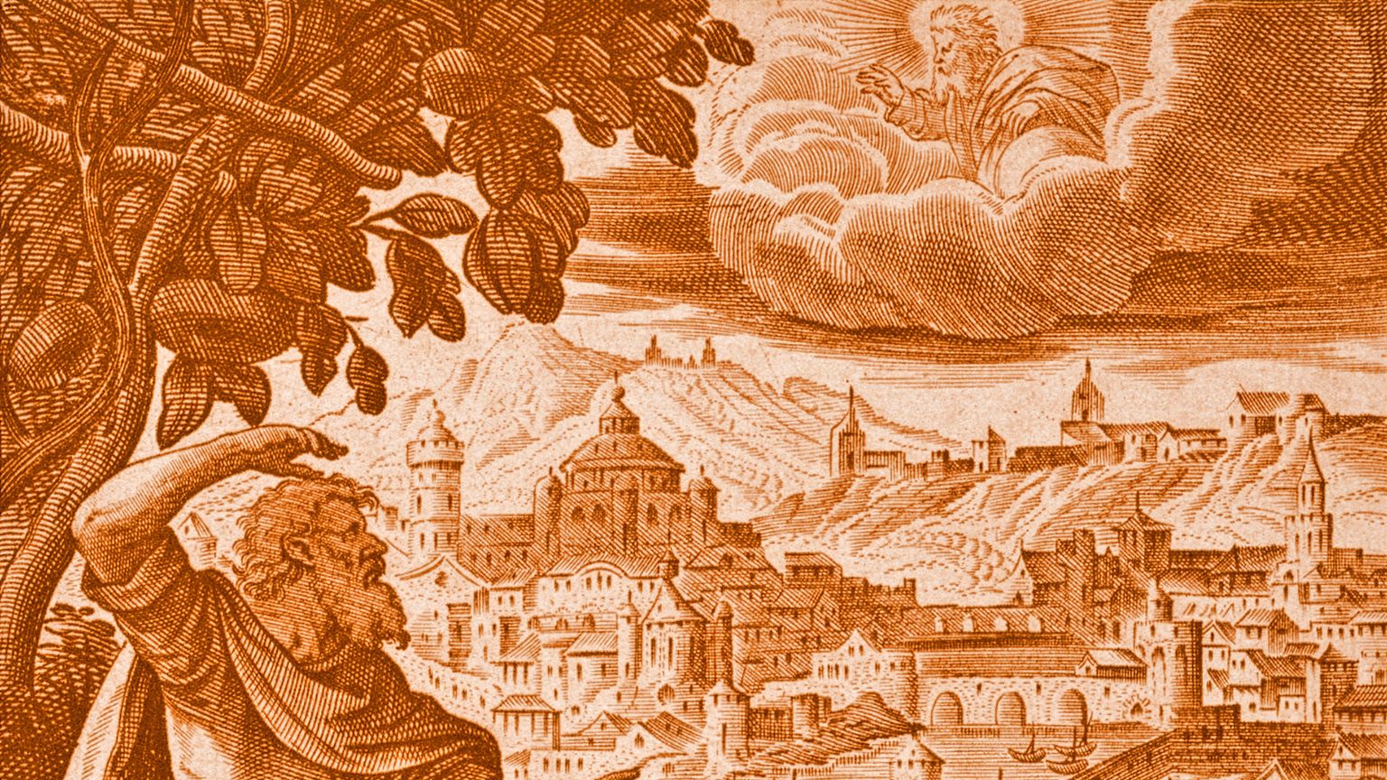 Cercando la Città Ideale