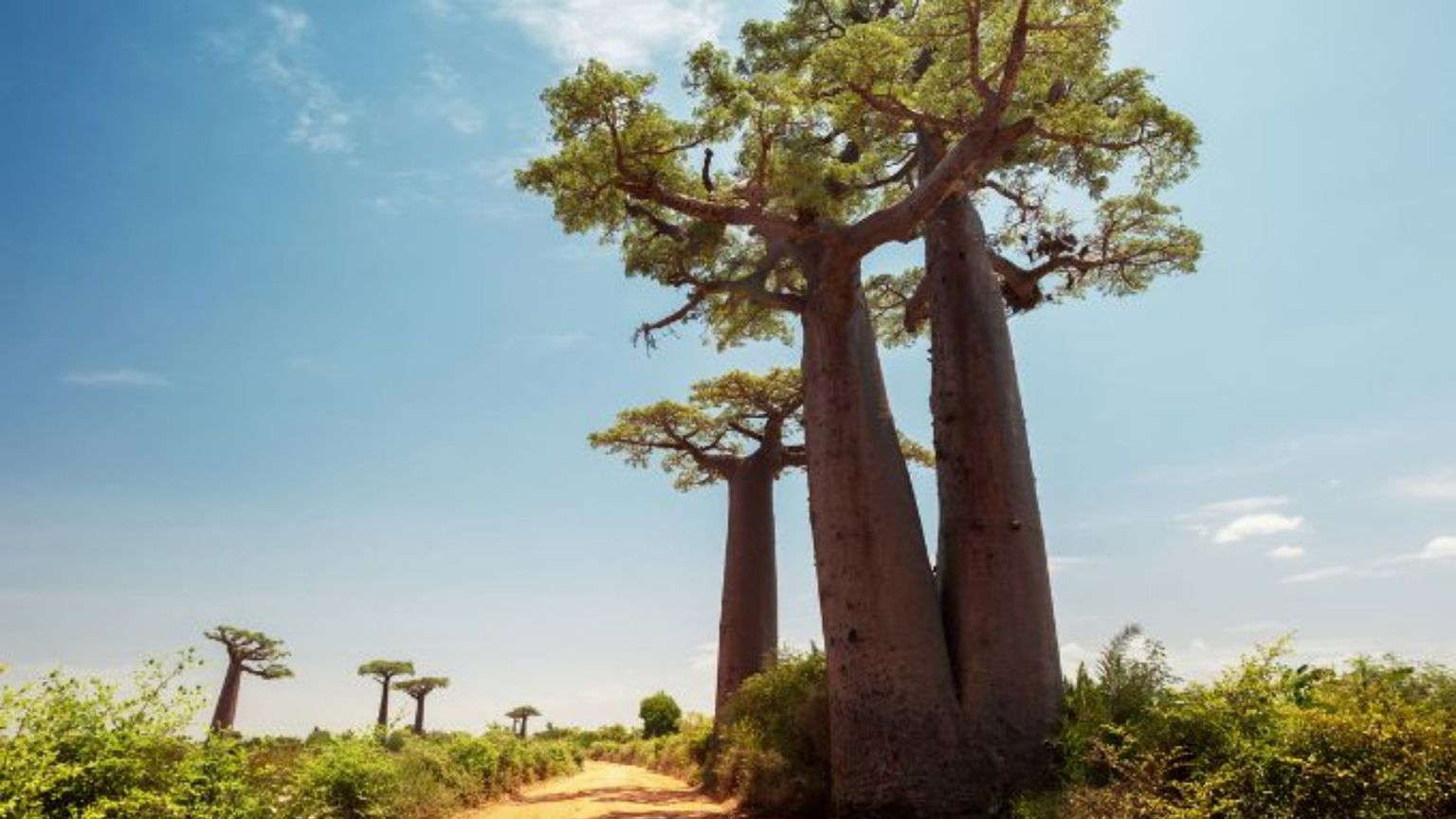 Il posto più solitario del mondo