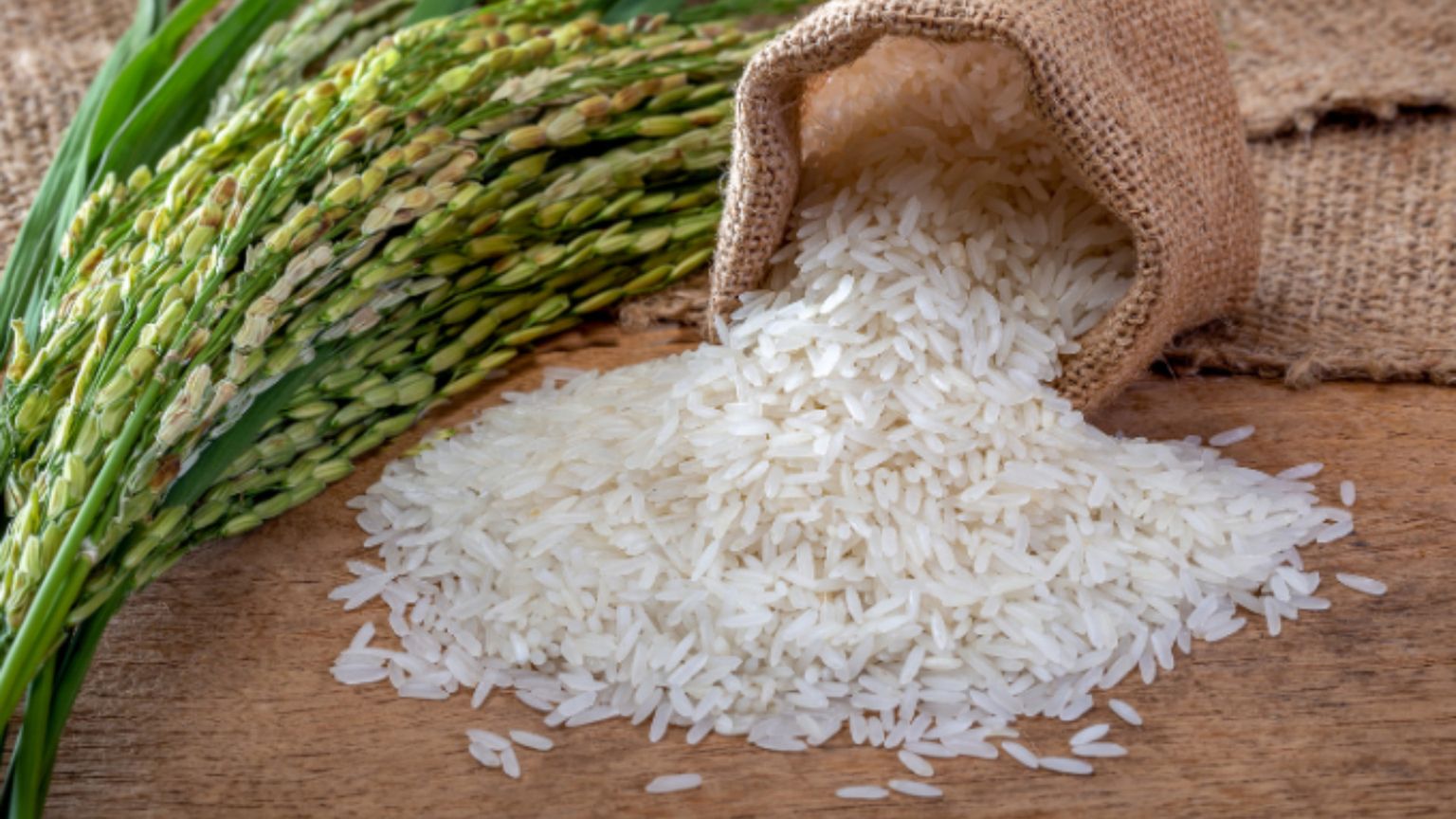 Giản dị, như một nắm cơm trắng