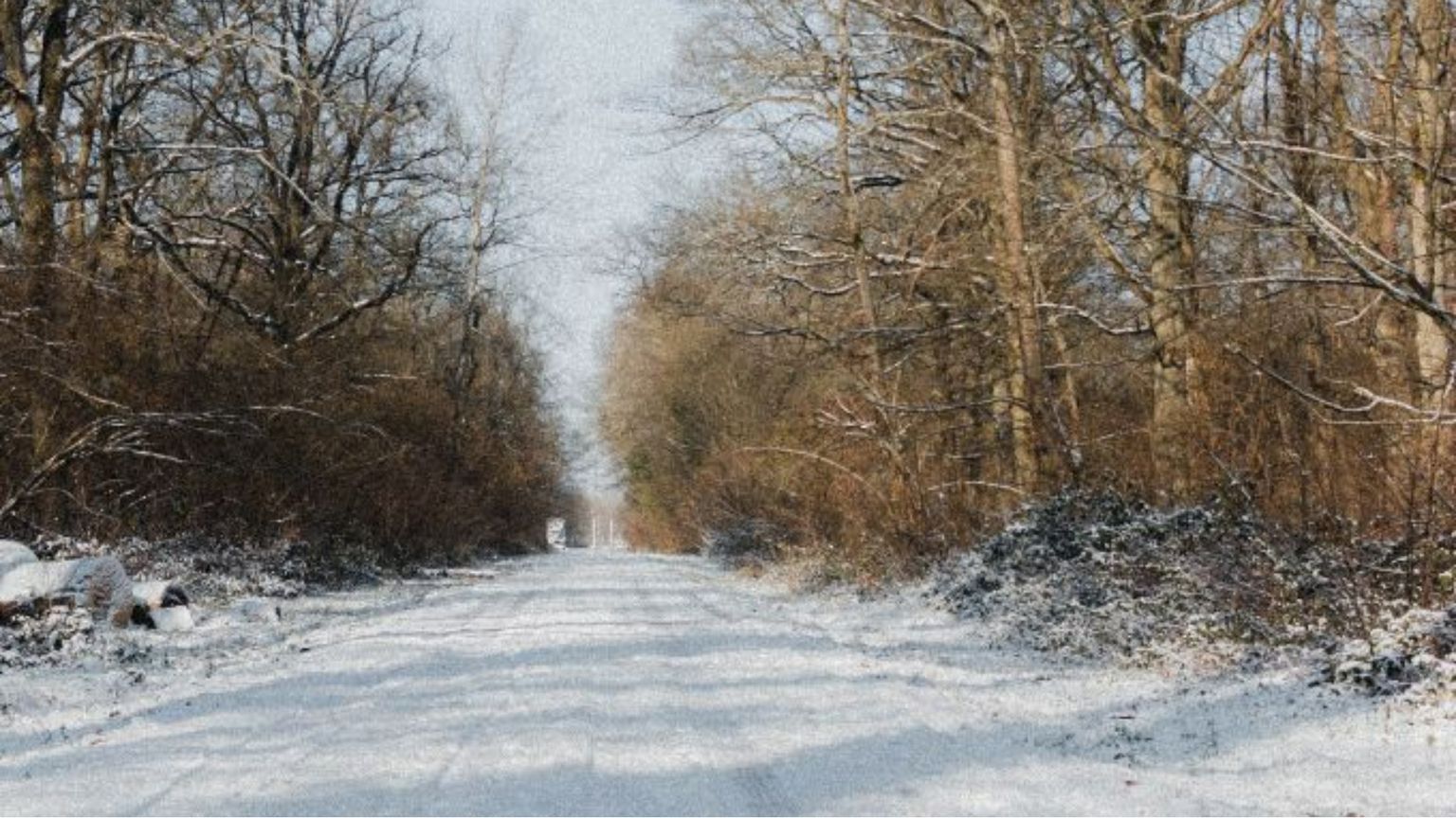 Ma qual è la vera letizia?
