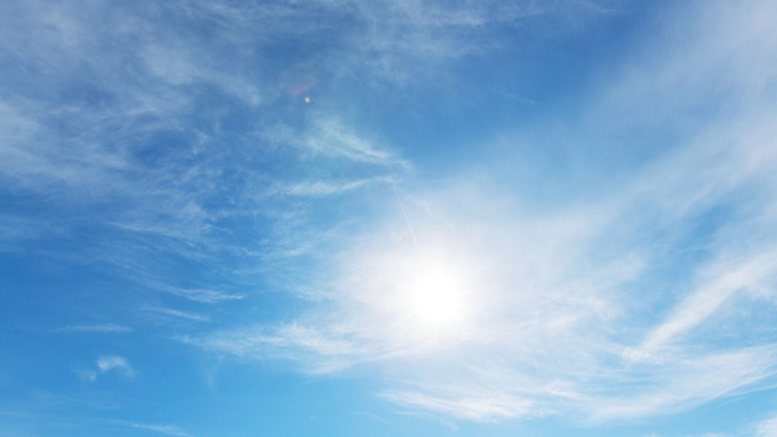 Agli animali "manca la parola". E noi impariamo ad abbaiare