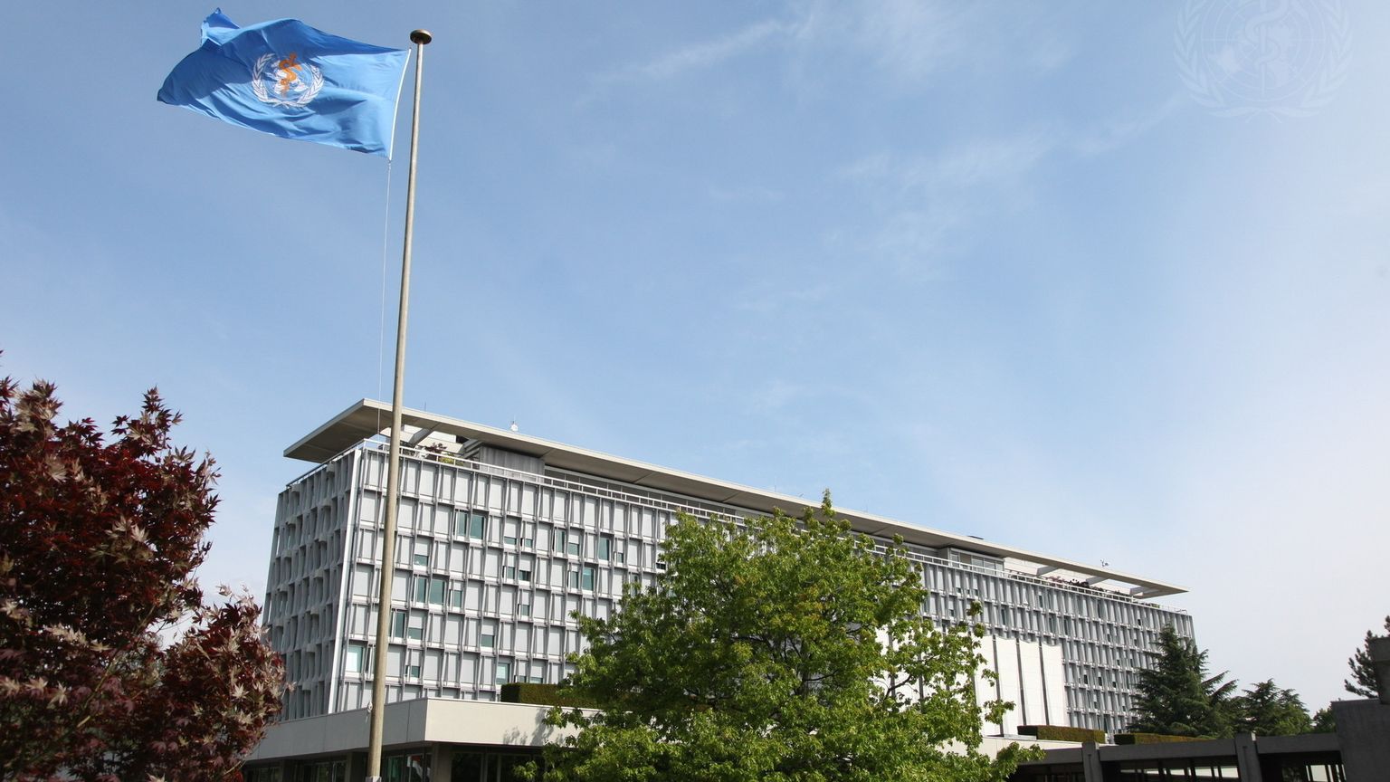 Stati Uniti fuori dall'Oms. E ora?