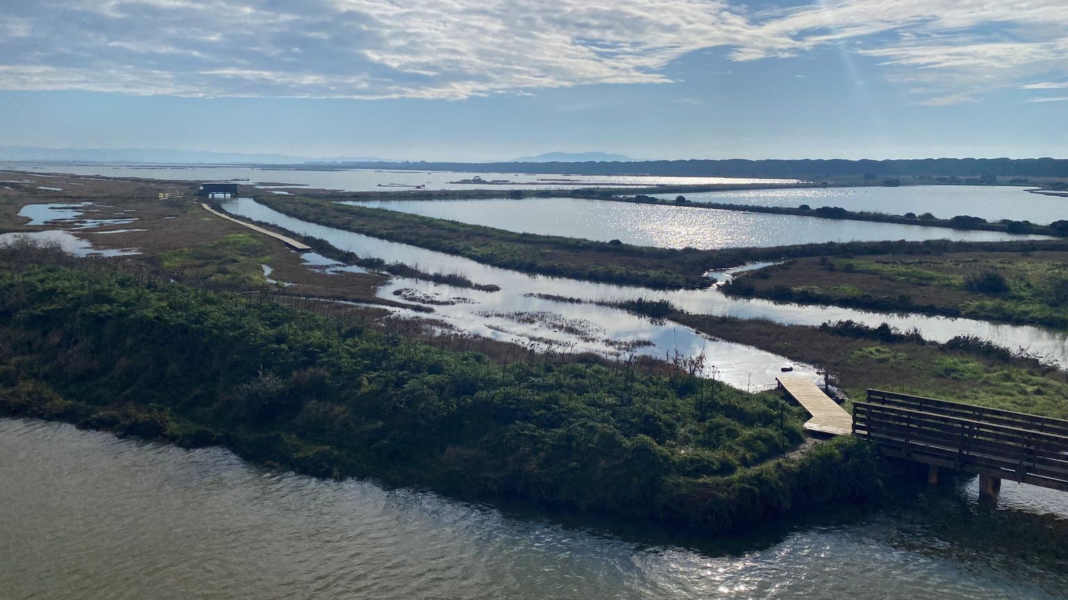 Le zone umide sono un business