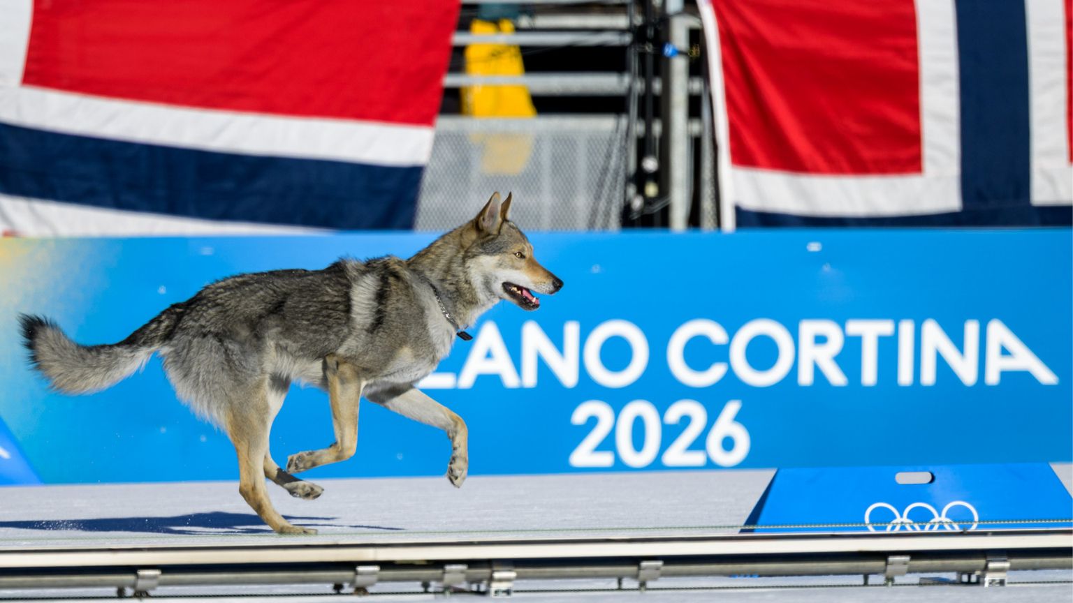 Strani Giochi: Cortina scopre i vigili romani e l'America l'acqua calda