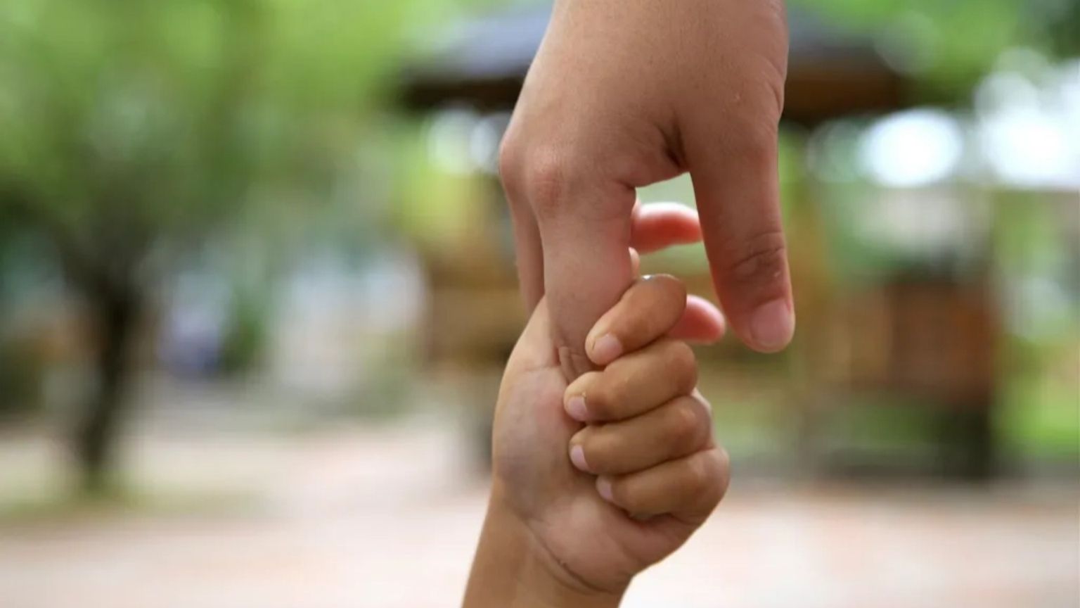 Tra coesione e precarietà, ecco la mappa del Terzo settore