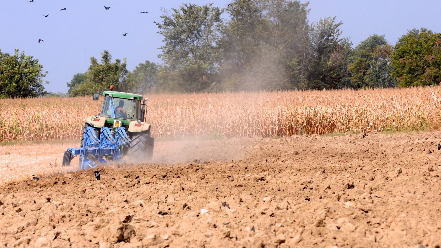 Il potenziale degli scarti agricoli per la transizione energetica