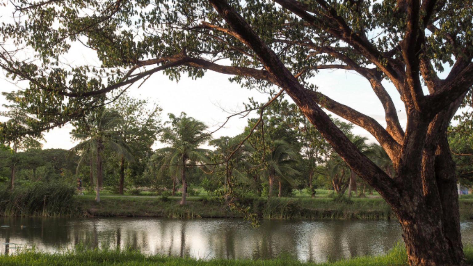 La felicità che mette radici in Dio