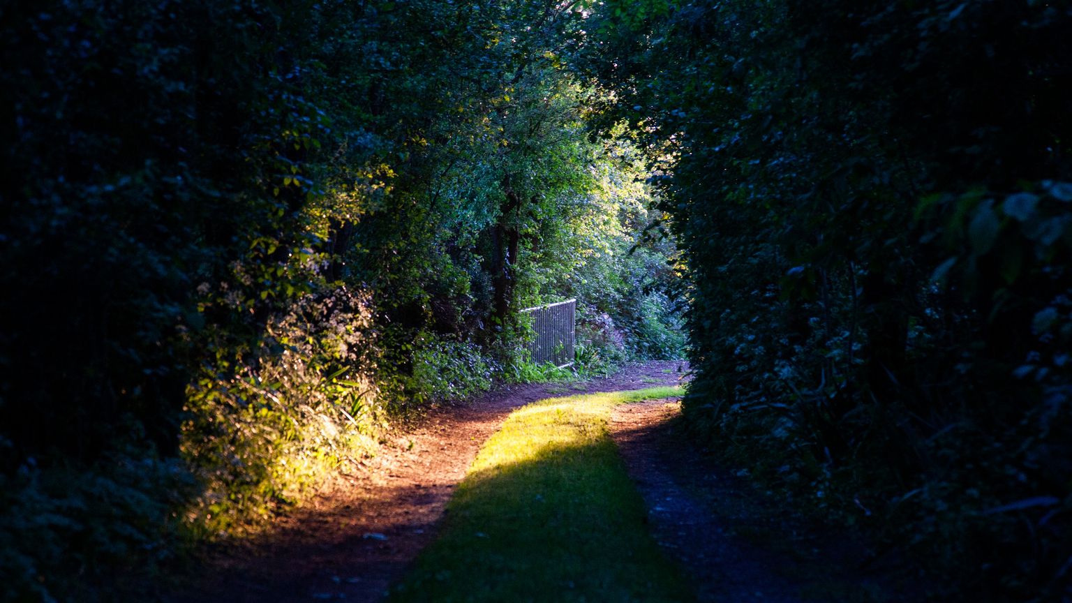 Evitare l'abisso del bellicismo: la strada che possiamo percorrere