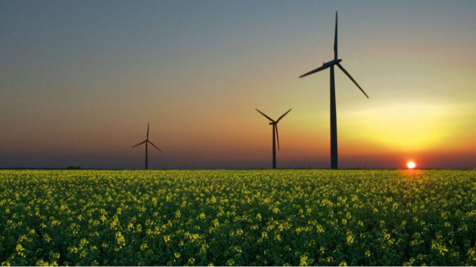 Ora acceleriamo sulla transizione primo passo: rimuovere gli ostacoli