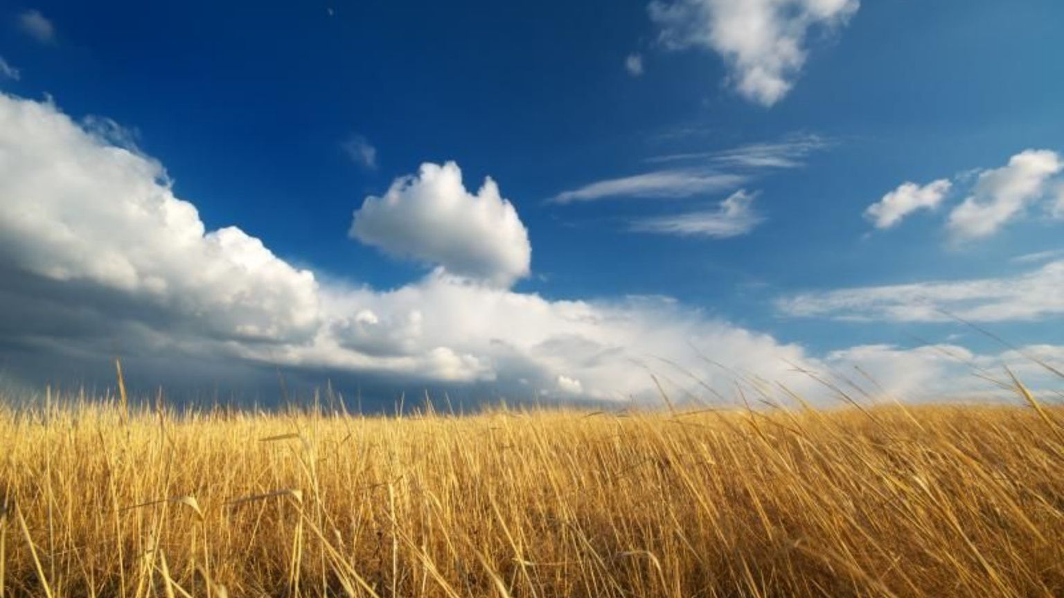 Il mondo che Dio ama è ampio come l'intera la famiglia umana