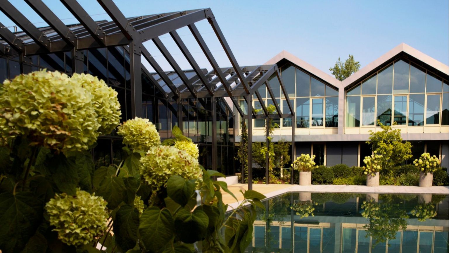 La cosmetica verde di Davines inizia dalle piante coltivate nell'orto aziendale