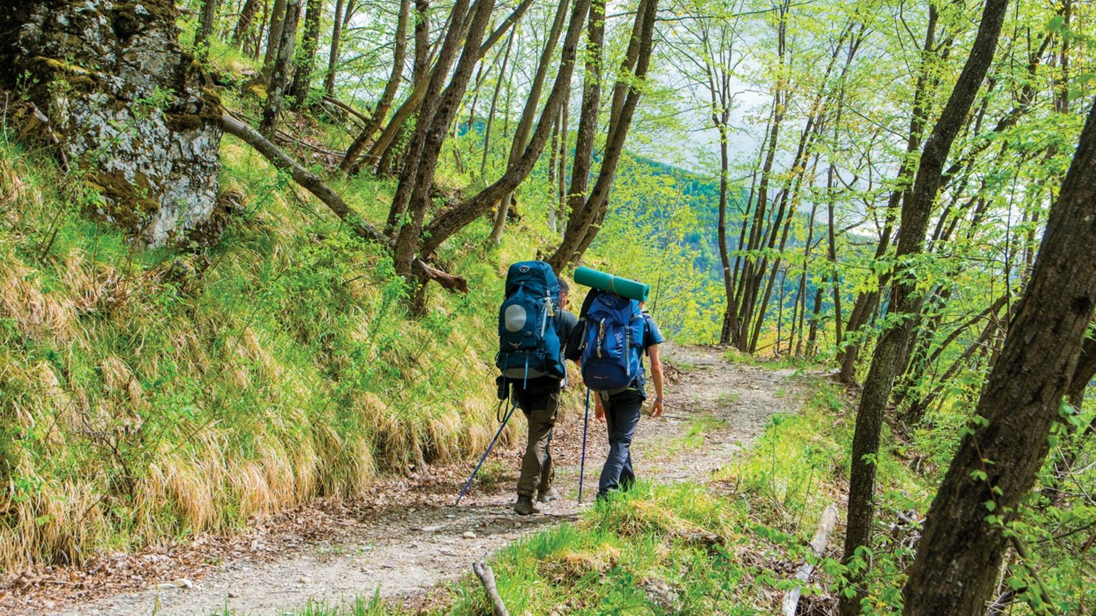 Boom dei cammini, sulle vie del turismo lento l'Italia corre: nel 2025 oltre 300mila viandanti