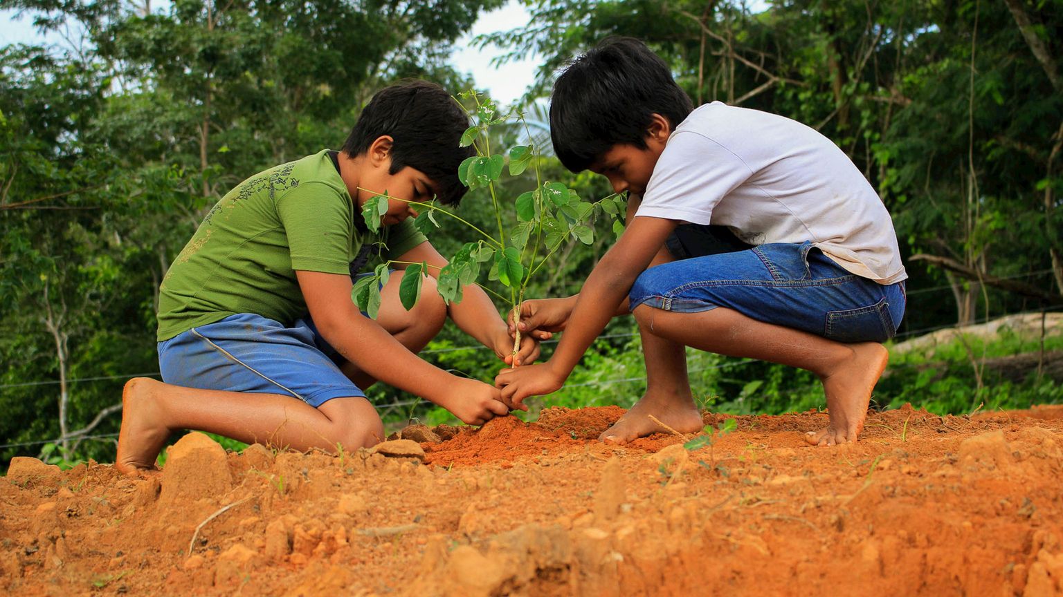 Che cosa serve per accelerare verso una società generativa