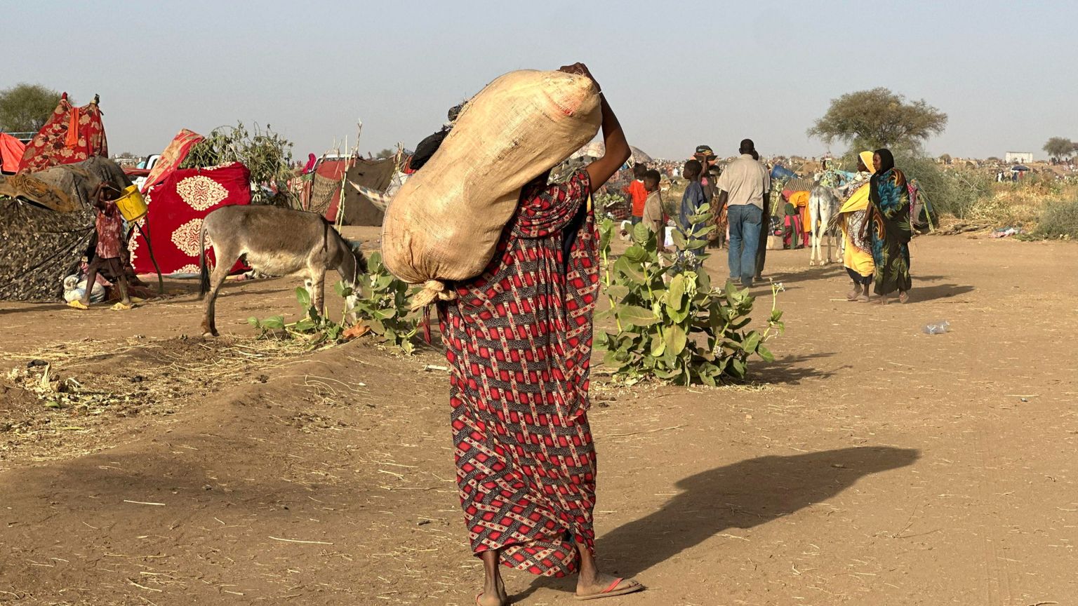 L'appello dei comboniani perché il mondo rompa il silenzio sulla guerra civile in Sudan